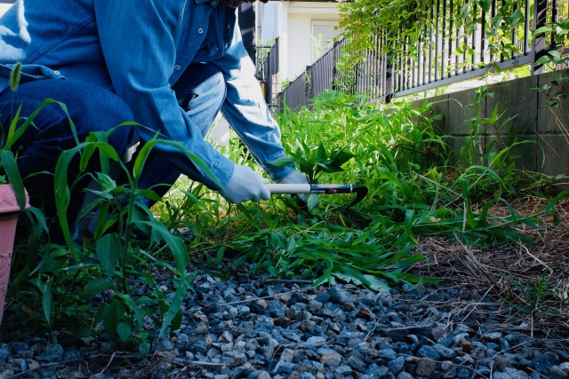 砂利敷きの上で草むしりをする作業員の手元