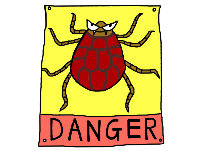 マダニが家の中にいるか確認