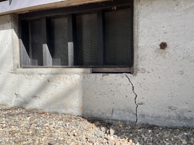 床下がゴキブリだらけな理由