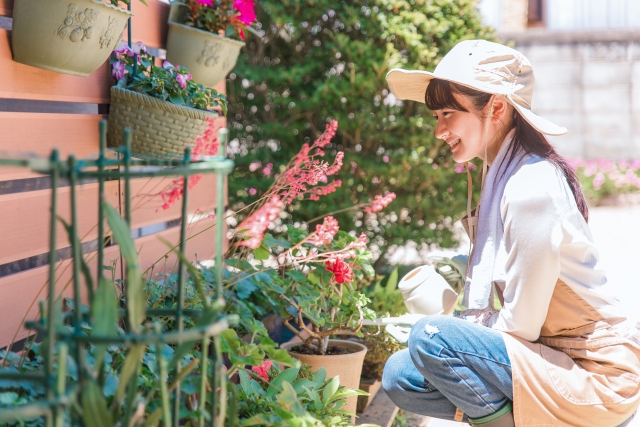 引っ越し業者に依頼する植木鉢[鉢植え]・プランターを確認する女性