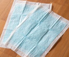 雨漏り応急処置で吸水シートを活用