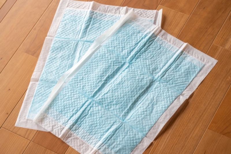 雨漏り応急処置に役立つ吸水シート・スポンジ・マットの使い方！コツや効果まで徹底解説