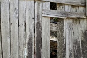 ゴキブリの隙間