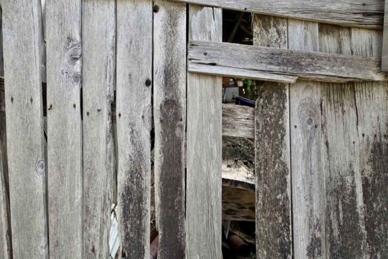 ゴキブリが隙間に入った!侵入箇所と隠れている場所を解説!効果的な対策も紹介