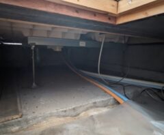 床下がゴキブリだらけ