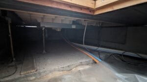 床下がゴキブリだらけ