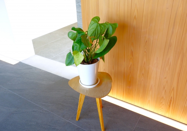 引っ越し業者に依頼する植木鉢[鉢植え]・プランター