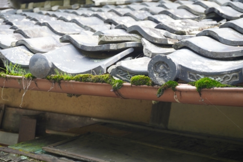 雨樋修理と交換に関する火災保険を検索