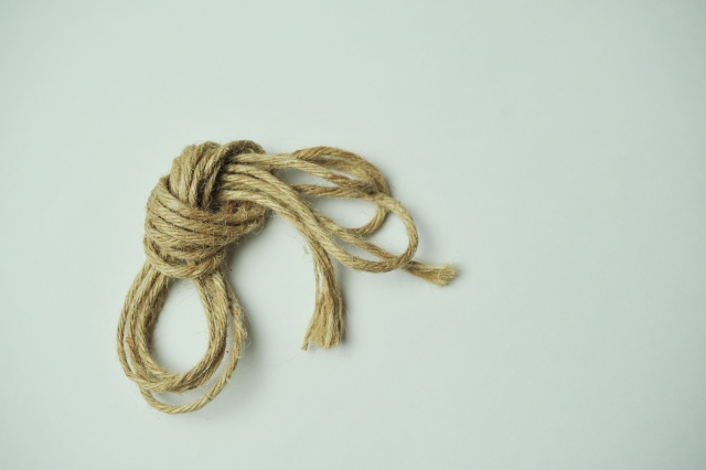 低木の冬囲いに必要な道具