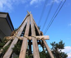 低木の冬囲いガイド|必要な樹種・準備・やり方をわかりやすく解説!