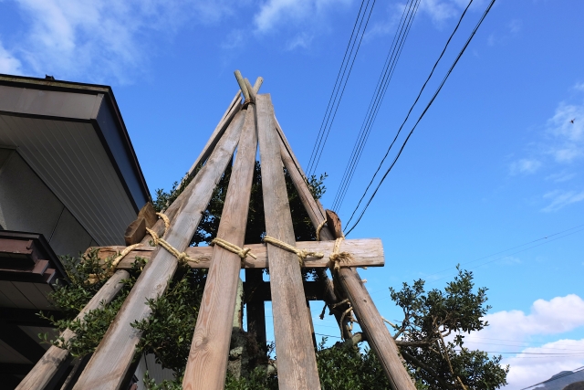 低木の冬囲いガイド｜必要な樹種・準備・やり方をわかりやすく解説！