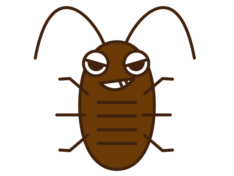 ゴキブリが入った隙間を確認