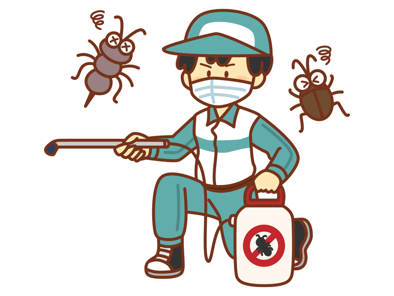 アルゼンチンアリの危険性