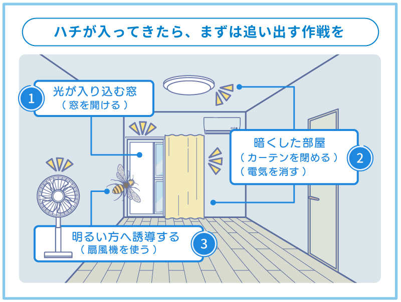 蜂が部屋に入ってきた時の正しい対処法