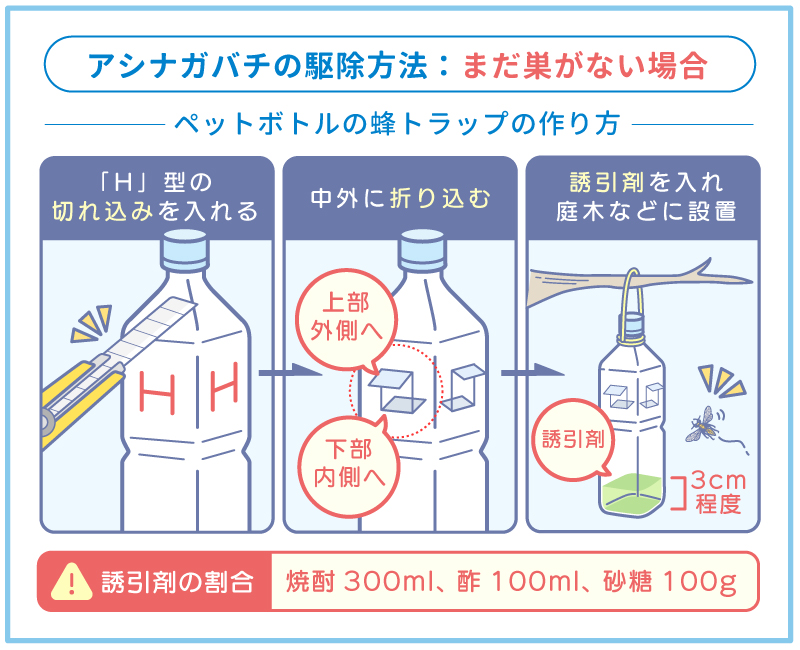 まだ巣がない場合【女王蜂の捕獲】