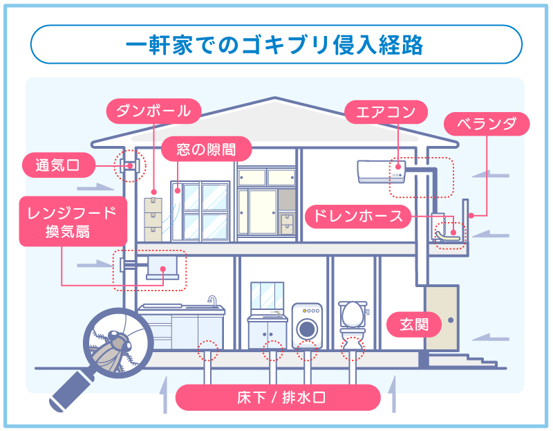 一軒家でゴキブリが出た！考えられる侵入経路