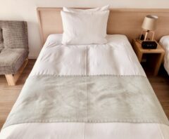 シバンムシがいるかもしれない布団