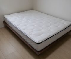 ダニだらけのマットレス