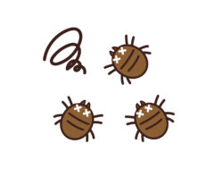 弱点があるダニ