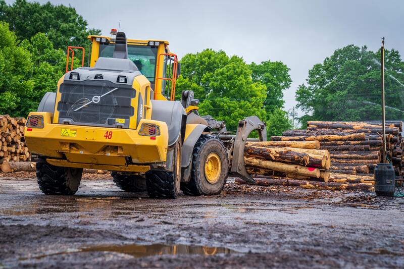吊るし切りの伐採費用を検索