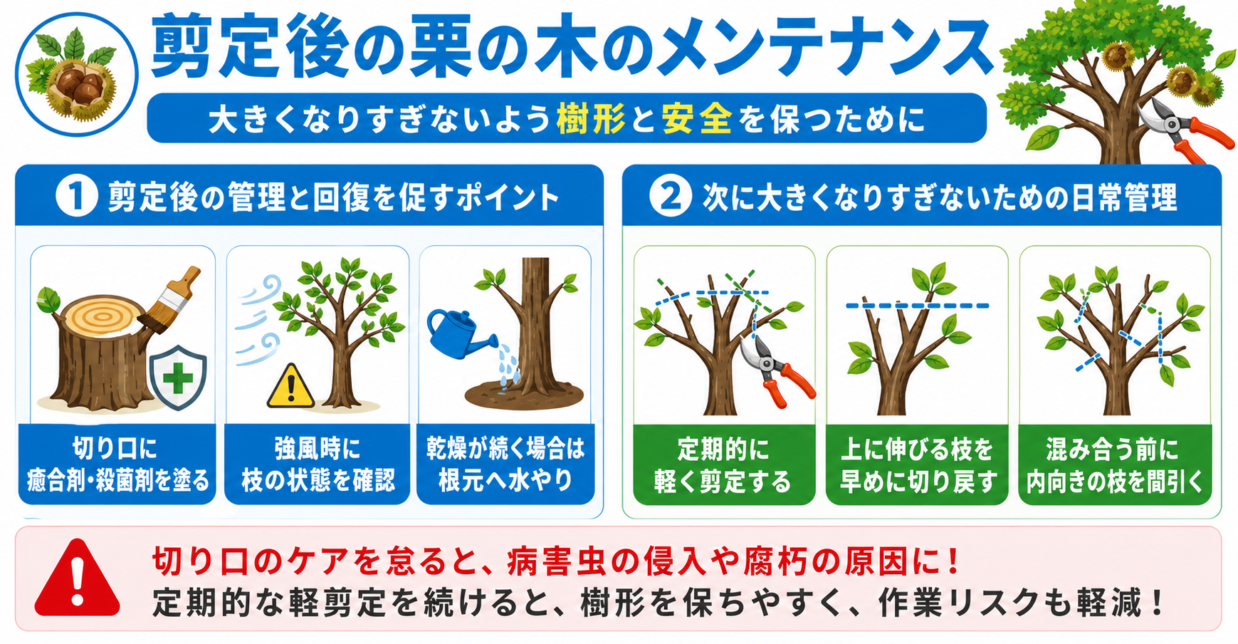 剪定後の栗の木のメンテナンス【大きくなりすぎないよう樹形と安全を保つために】 