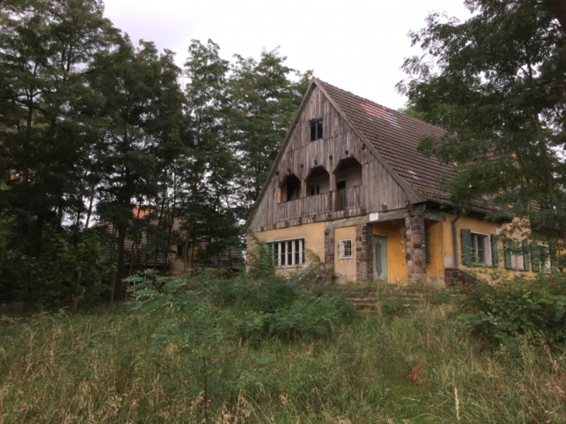 荒れた庭の業者費用をチェック