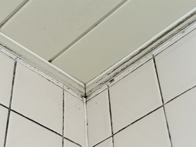 お風呂の天井は特に黒カビの温床！発生しやすい理由