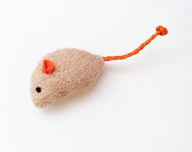 出る時期が分かり対策をはじめているネズミのイメージ