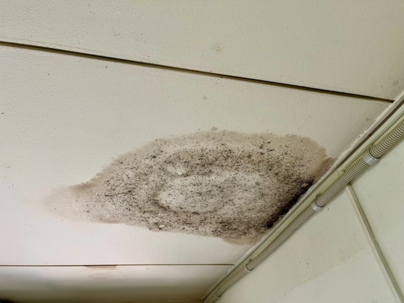 天井の雨漏りシミ跡