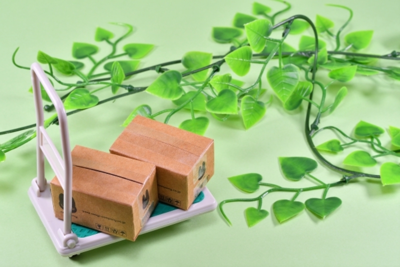 引っ越しでそのままでいいものを精査