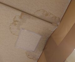 天井の雨漏りシミ