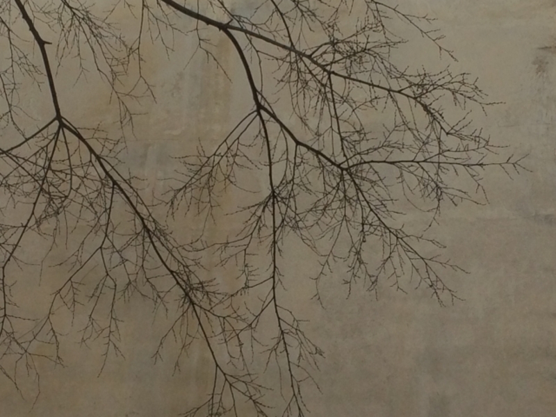 外壁のツタ跡を除去する最中