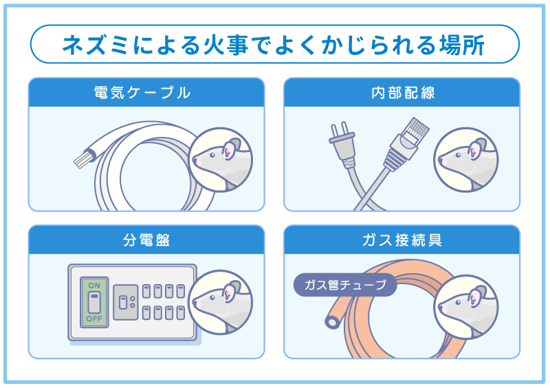 ネズミによる火事の頻発箇所4選
