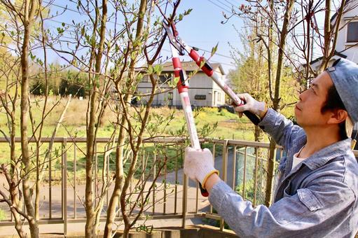 冬のバラ剪定で切り過ぎないための選択肢【業者依頼で安心】