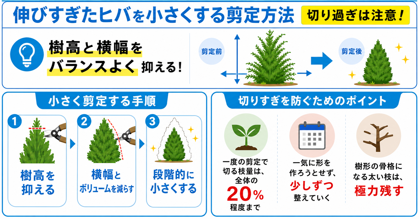 伸びすぎたヒバを小さくする剪定方法
