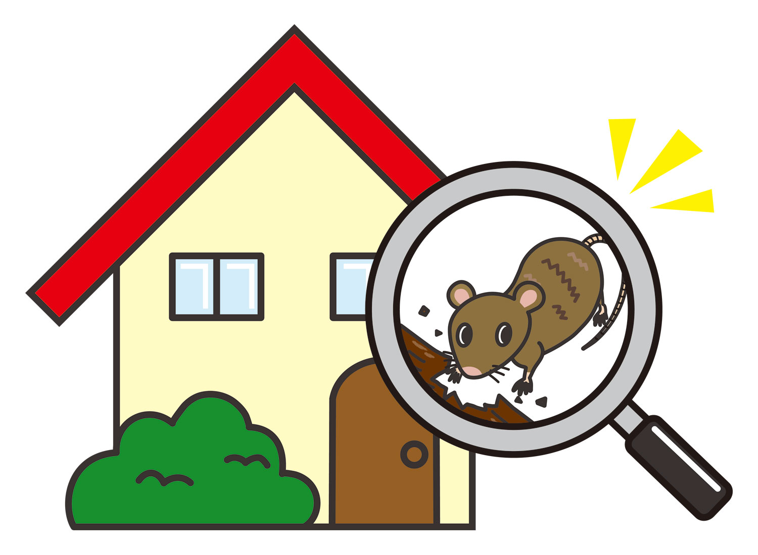 冬眠しない家ネズミ