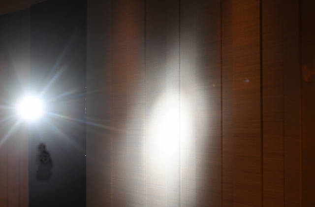 ハクビシン対策に設置したライト