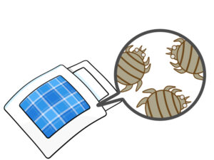 布団の小さい虫