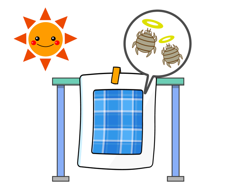 布団の小さい虫を確認中