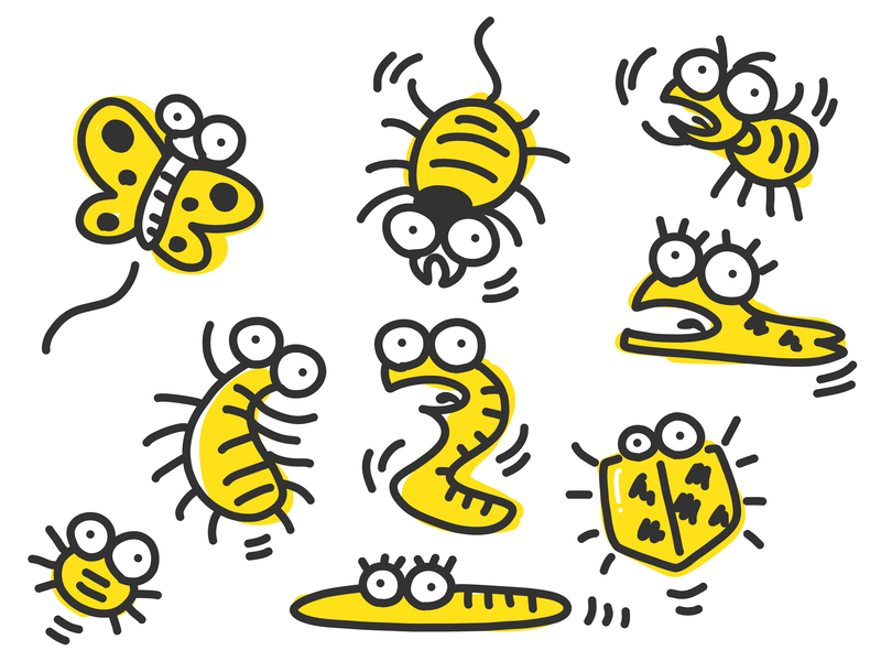 大きいダニみたいな虫の比較