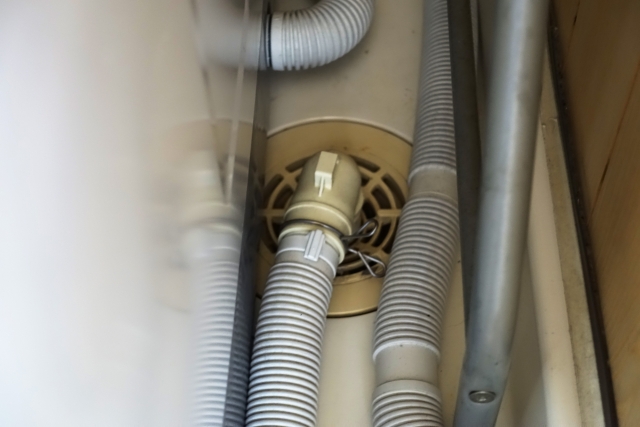 洗濯機の排水口掃除