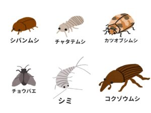 ダニみたいな茶色い虫の正体