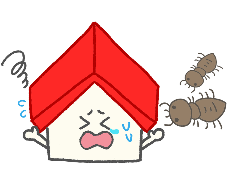 ダニみたいな茶色い虫の正体をチェック