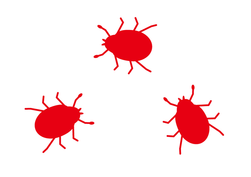 マダニに似た虫の判別ガイド|類似害虫9種の特徴・駆除方法まとめ