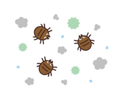 大きいダニみたいな虫