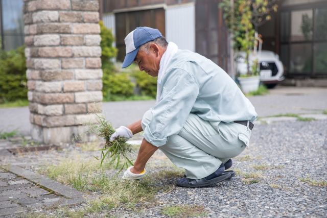 作業員が手作業で雑草を抜き取っている草刈り作業の様子
