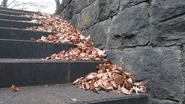 落ち葉の吹き溜まりを放置するリスク
