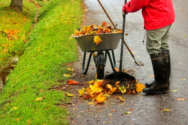落ち葉を集めて一輪車で運び出している庭掃除の様子