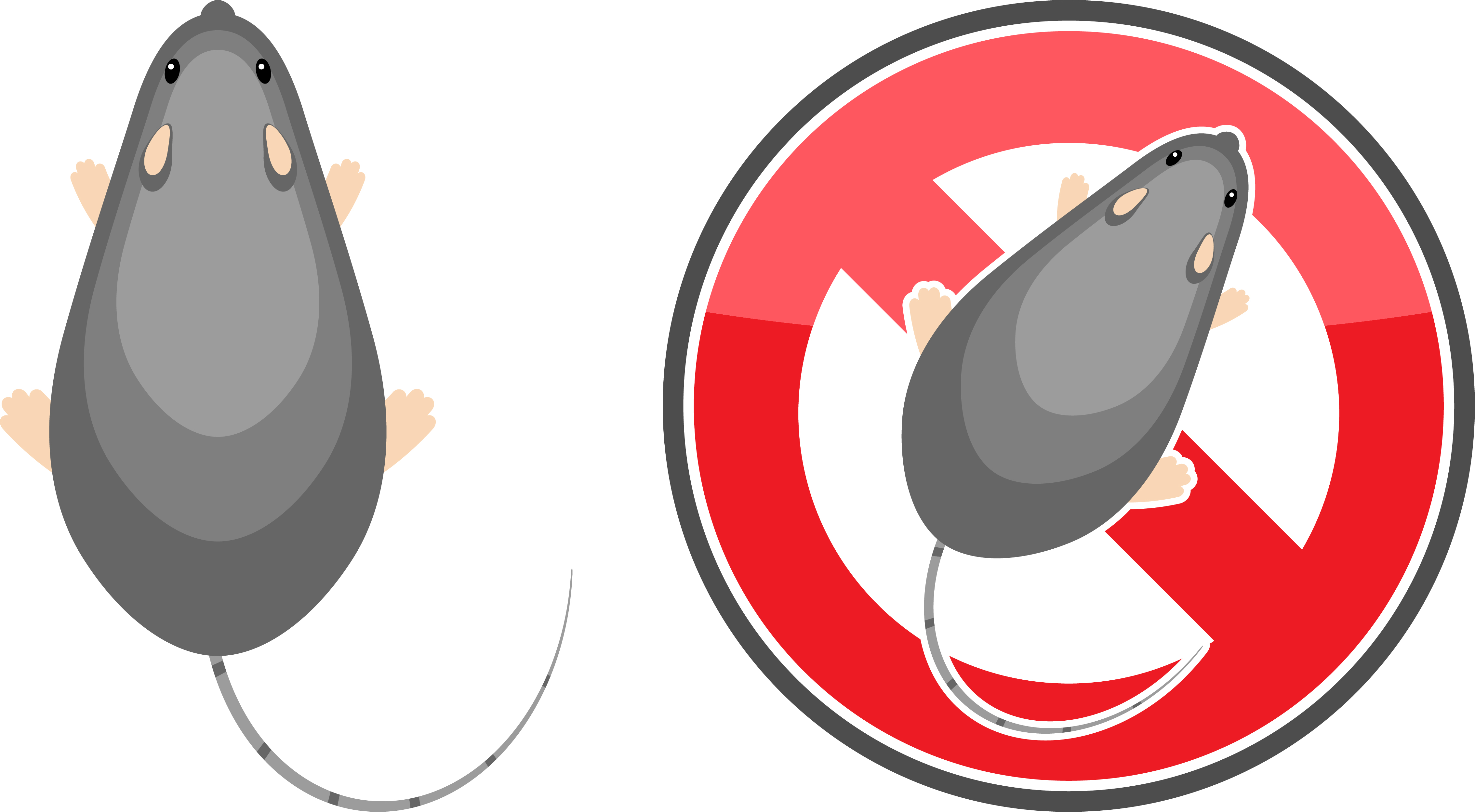 カインズへの依頼を検討しているネズミ駆除のイメージ