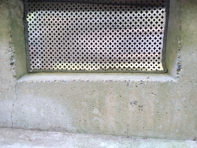 冬眠しないネズミの侵入対策